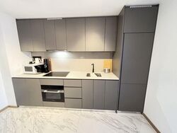 The Landmark (D3), Condominium #590508441